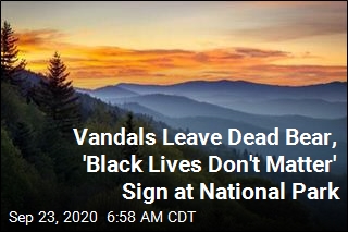 National Park Sign Vandalized With Racist Message, Dead Bear