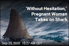 Pregnant Woman Saves Husband From Shark
