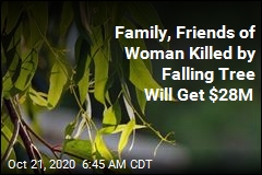 Family, Friends of Woman Killed by Falling Tree Will Get $28M
