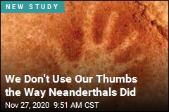 Neanderthal Thumbs Weren&#39;t Quite the Same as Ours