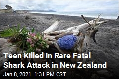 In New Zealand, a Rare Fatal Shark Attack