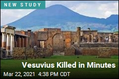 Vesuvius Killed in Minutes