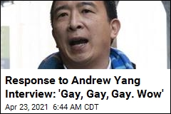 Andrew Yang&#39;s Sit-Down With LGBTQ Organization Falls Flat