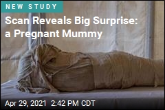 Scan Reveals Big Surprise: a Pregnant Mummy