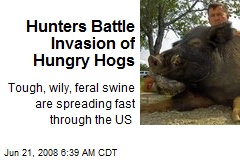 Hunters Battle Invasion of Hungry Hogs