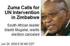 Zuma Calls for UN Intervention in Zimbabwe
