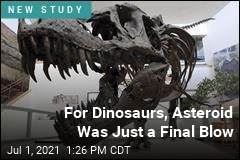 For Dinosaurs, Asteroid Was Just a Final Blow