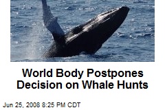 World Body Postpones Decision on Whale Hunts