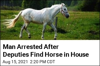 Man Arrested After Deputies Find Horse in House