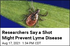 A Shot to Prevent Lyme Disease Is In Clinical Trials
