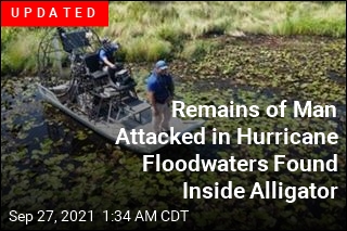 Man Knee-Deep in Ida Flood Water Attacked by Gator