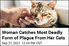 Woman Catches Most Deadly Form of Plague From Her Cats