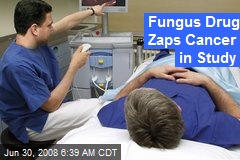 Fungus Drug Zaps Cancer in Study