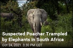 Man Found Trampled to Death Suspected of Being a Poacher