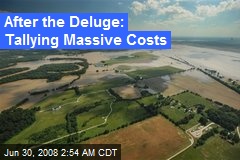 After the Deluge: Tallying Massive Costs