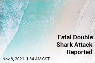 Swimmer Reportedly Killed in Double Shark Attack