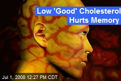 Low 'Good' Cholesterol Hurts Memory
