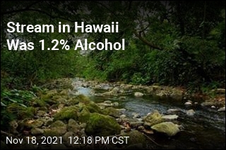 After Hiker Notices Smell, Stream Found to be 1.2% ABV