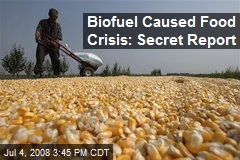 Biofuel Caused Food Crisis: Secret Report