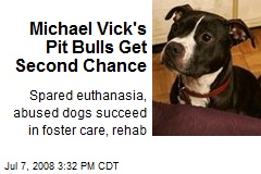 Michael Vick's Pit Bulls Get Second Chance
