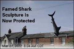 Famed Shark Sculpture Is Now Protected
