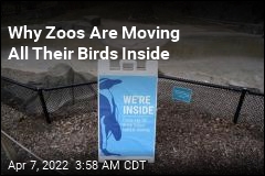 Zoos Across America Are Moving Birds Inside