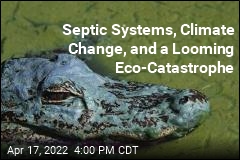 Septic Systems, Climate Change, and a Looming Eco-Catastrophe