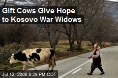 Gift Cows Give Hope to Kosovo War Widows