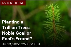Planting a Trillion Trees: Noble Goal or Fool&#39;s Errand?