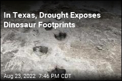 Drought Exposes Texas Dinosaur Tracks