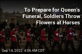 To Prepare for Procession, Soldiers Are Throwing Flowers at Horses