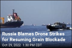 Russia Blames Drone Strikes for Resuming Grain Blockade