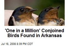 'One in a Million' Conjoined Birds Found in Arkansas