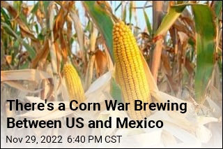 US and Mexican Officials Struggle to Avert Corn War