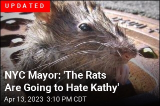 NYC Will Pay Up to $170K for &#39;Somewhat Bloodthirsty&#39; Rat Czar