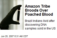 Amazon Tribe Broods Over Poached Blood