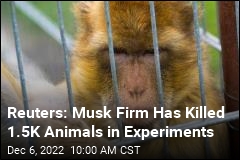 Reuters: Musk Firm Has Killed 1.5K Animals in Experiments