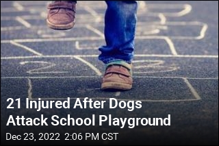 Cops: 2 Dogs Attack Packed School Playground