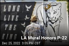 Mural Honors Mountain Lion