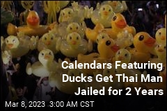 Thailand Jails Man for 2 Years Over Calendars Featuring Ducks