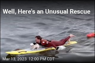Well, Here&#39;s an Unusual Rescue