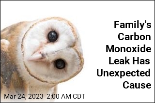 Family&#39;s Carbon Monoxide Leak Has Unexpected Cause