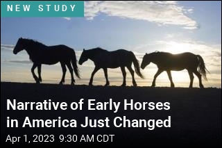 Native Americans Had Horses Long Before Europeans Came