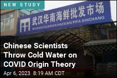 Chinese Scientists Throw Cold Water on COVID Origin Theory