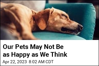 Our Pets May Not Be as Happy as We Think