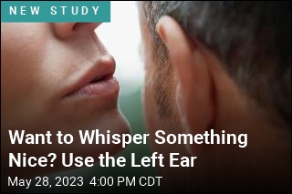 We Like Hearing Nice Sounds in Our Left Ears