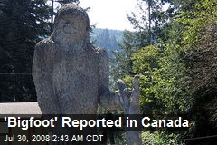 'Bigfoot' Reported in Canada