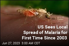 US Sees Local Spread of Malaria for First Time in 20 Years