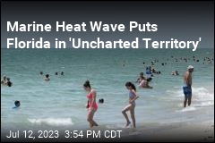 Marine Heat Wave Puts Florida in &#39;Uncharted Territory&#39;