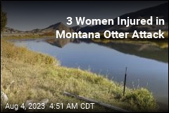 3 Women Injured in Montana Otter Attack